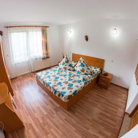 Отель Casa Andreea Сучевица Номер фото