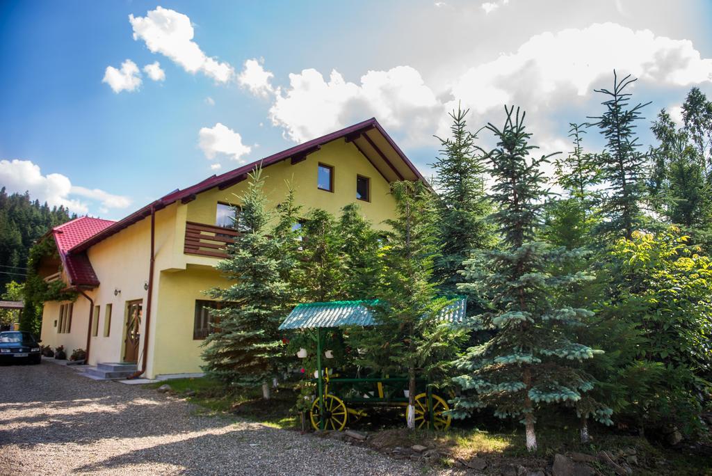 Отель Casa Andreea Сучевица Экстерьер фото